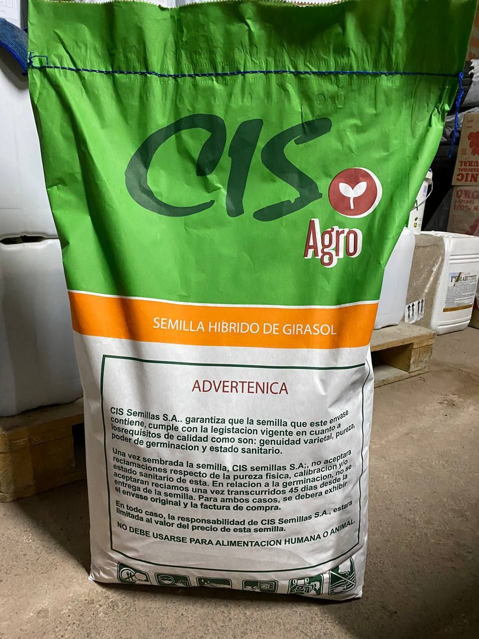 Насіння соняшнику «Флоріан». Ультра ранній. Посухостійкий. Генетіка Чілійської компанії «CIS». 50гр Гранстар. 7+ Вовчок