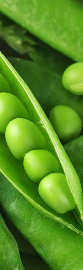 Гумісол плюс. Для сої. Бобових.