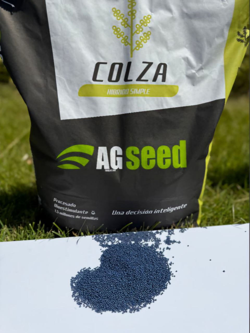 Насіння озимого ріпаку гібрид «AG 7273 CL».«AGSEED» Стійкий до Евролайтингу.